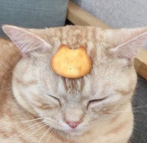 Meet your Posher, Mika